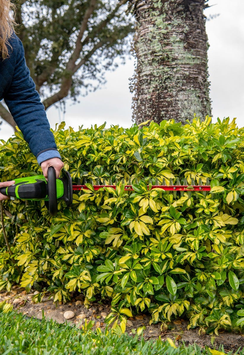 24-Volt 22" Hedge Trimmer with Battery and Charger | 24H20 - Image 13